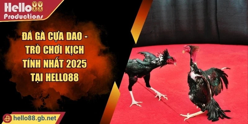 Đá Gà Cựa Dao - Trò Chơi Kịch Tính Nhất 2025 Tại Hello88