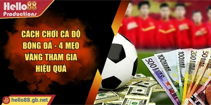 Cách Chơi Cá Độ Bóng Đá - 4 Mẹo Vàng Tham Gia Hiệu Quả