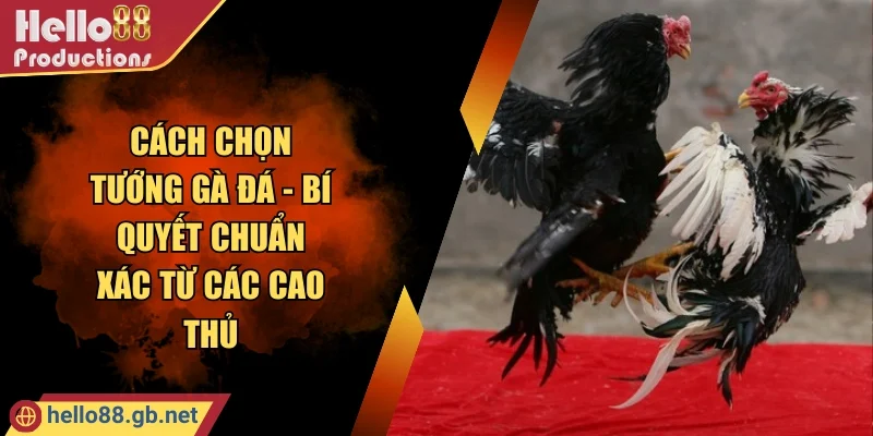 Cách Chọn Tướng Gà Đá - Bí Quyết Chuẩn Xác Từ Các Cao Thủ