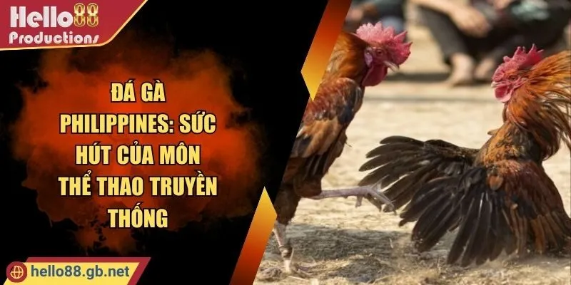Đá Gà Philippines: Sức Hút Của Môn Thể Thao Truyền Thống