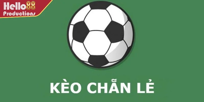Khái niệm về cược chẵn lẻ tại Hello88
