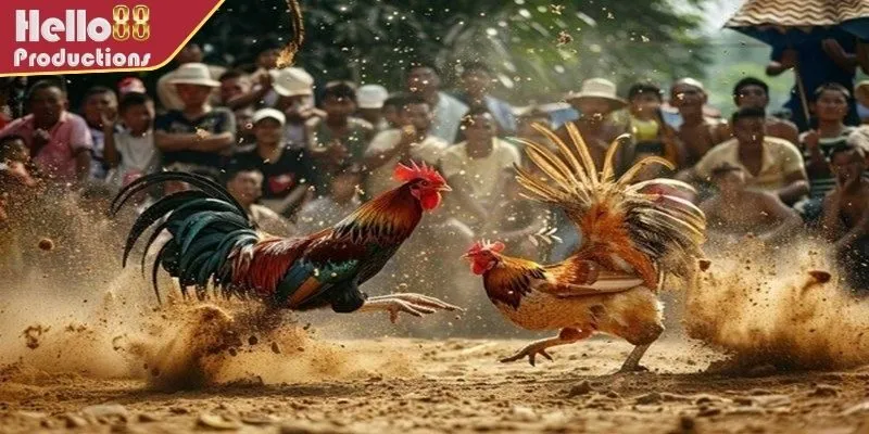 Nguồn gốc hình thành bộ môn đá gà Philippines