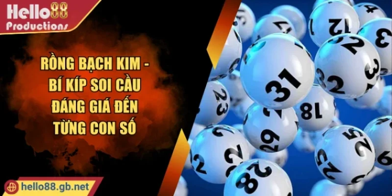 Rồng Bạch Kim - Bí Kíp Soi Cầu Đáng Giá Đến Từng Con Số