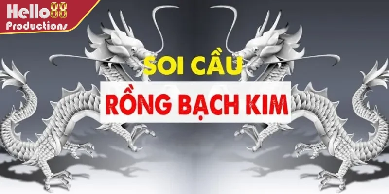 Sơ lược về công cụ hữu ích của các đề thủ